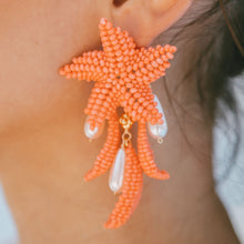 Load image into Gallery viewer, Starfish Salmon
